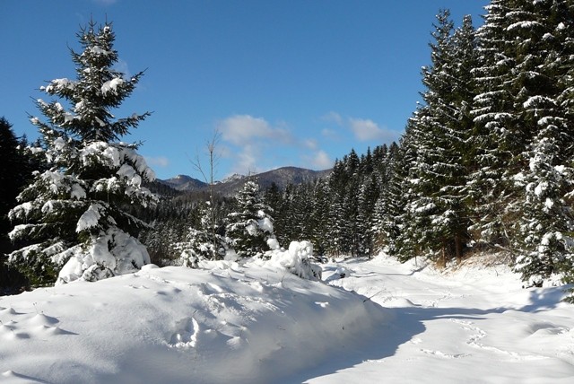 Gorski kotar